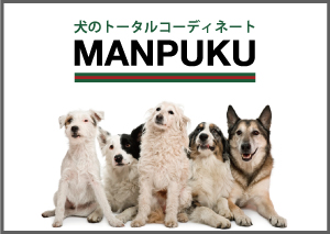 犬のトータルコーディネート MANPUKU